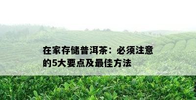 在家存储普洱茶：必须注意的5大要点及更佳方法