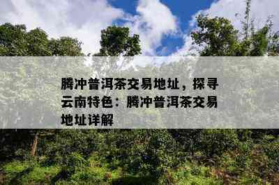 腾冲普洱茶交易地址，探寻云南特色：腾冲普洱茶交易地址详解