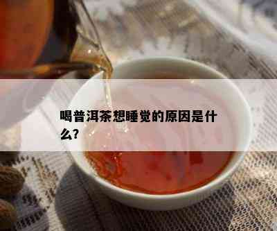 喝普洱茶想睡觉的原因是什么？