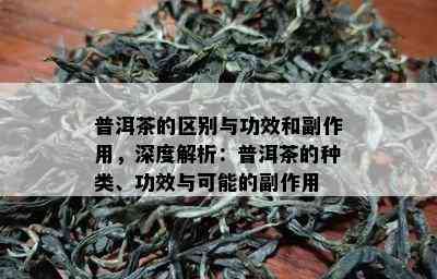 普洱茶的区别与功效和副作用，深度解析：普洱茶的种类、功效与可能的副作用