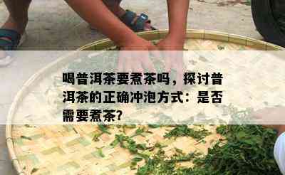 喝普洱茶要煮茶吗，探讨普洱茶的正确冲泡方式：是否需要煮茶？