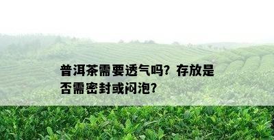 普洱茶需要透气吗？存放是否需密封或闷泡？