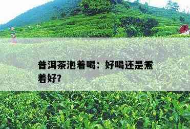 普洱茶泡着喝：好喝还是煮着好？