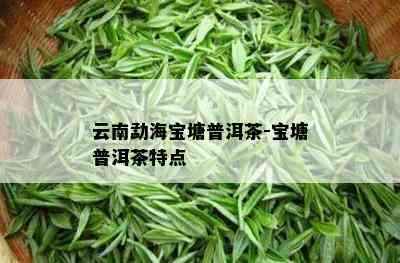 云南勐海宝塘普洱茶-宝塘普洱茶特点