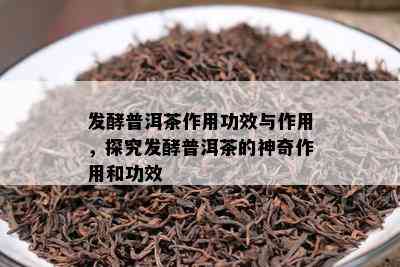 发酵普洱茶作用功效与作用，探究发酵普洱茶的神奇作用和功效