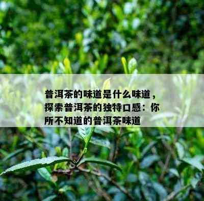 普洱茶的味道是什么味道，探索普洱茶的独特口感：你所不知道的普洱茶味道