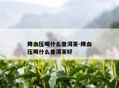 降血压喝什么普洱茶-降血压喝什么普洱茶好