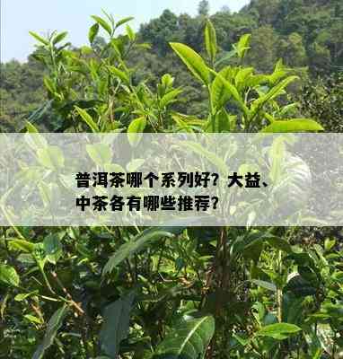 普洱茶哪个系列好？大益、中茶各有哪些推荐？