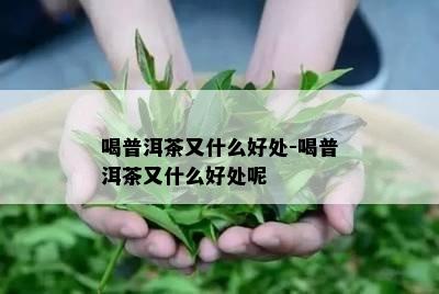 喝普洱茶又什么好处-喝普洱茶又什么好处呢