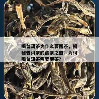 喝普洱茶为什么要醒茶，揭秘普洱茶的醒茶之道：为何喝普洱茶需要醒茶？