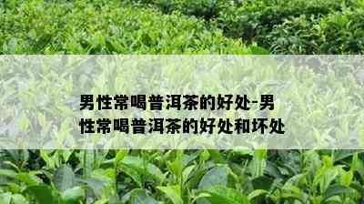 男性常喝普洱茶的好处-男性常喝普洱茶的好处和坏处