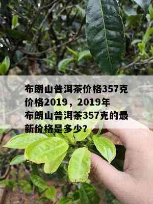 布朗山普洱茶价格357克价格2019，2019年布朗山普洱茶357克的最新价格是多少？