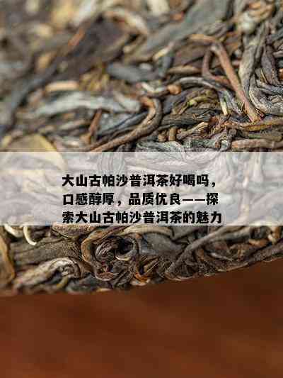 大山古帕沙普洱茶好喝吗，口感醇厚，品质优良——探索大山古帕沙普洱茶的魅力