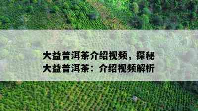 大益普洱茶介绍视频，探秘大益普洱茶：介绍视频解析