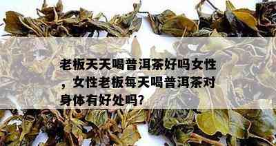 老板天天喝普洱茶好吗女性，女性老板每天喝普洱茶对身体有好处吗？