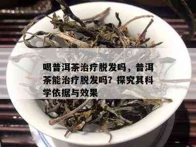 喝普洱茶治疗脱发吗，普洱茶能治疗脱发吗？探究其科学依据与效果