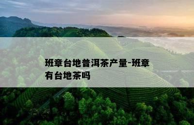 班章台地普洱茶产量-班章有台地茶吗