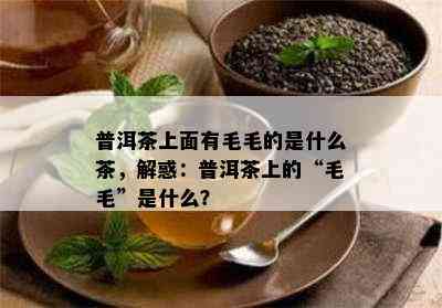 普洱茶上面有毛毛的是什么茶，解惑：普洱茶上的“毛毛”是什么？