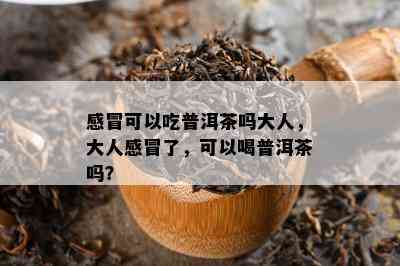 感冒可以吃普洱茶吗大人，大人感冒了，可以喝普洱茶吗？