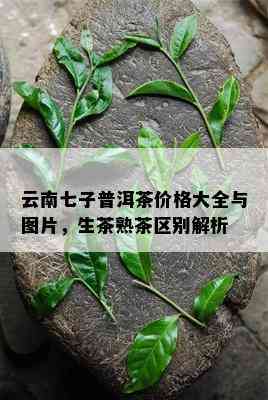 云南七子普洱茶价格大全与图片，生茶熟茶区别解析