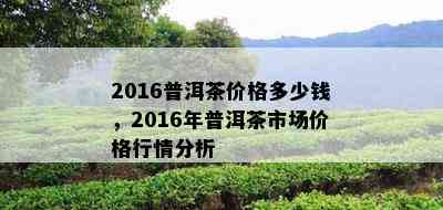 2016普洱茶价格多少钱，2016年普洱茶市场价格行情分析