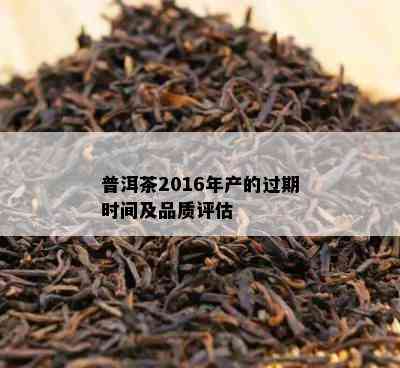 普洱茶2016年产的过期时间及品质评估