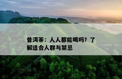 普洱茶：人人都能喝吗？了解适合人群与禁忌