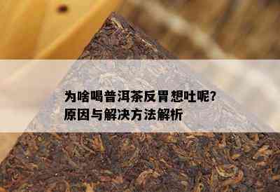 为啥喝普洱茶反胃想吐呢？原因与解决方法解析