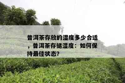 普洱茶存放的湿度多少合适，普洱茶存储湿度：如何保持更佳状态？