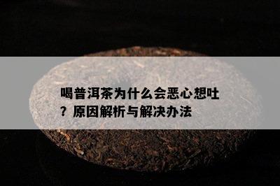 喝普洱茶为什么会恶心想吐？原因解析与解决办法