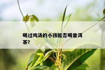 喝过鸡汤的小孩能否喝普洱茶？