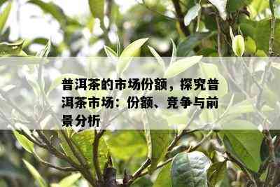 普洱茶的市场份额，探究普洱茶市场：份额、竞争与前景分析