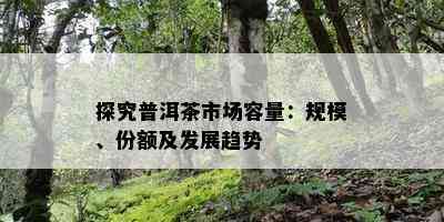 探究普洱茶市场容量：规模、份额及发展趋势