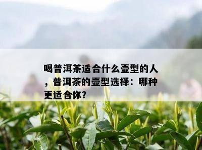 喝普洱茶适合什么壶型的人，普洱茶的壶型选择：哪种更适合你？