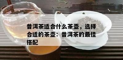 普洱茶适合什么茶壶，选择合适的茶壶：普洱茶的更佳搭配