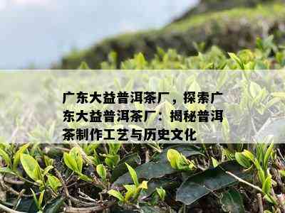 广东大益普洱茶厂，探索广东大益普洱茶厂：揭秘普洱茶制作工艺与历史文化