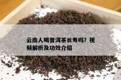 云南人喝普洱茶长寿吗？视频解析及功效介绍