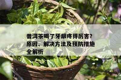 普洱茶喝了牙龈疼得厉害？原因、解决方法及预防措施全解析