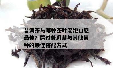 普洱茶与哪种茶叶混泡口感更佳？探讨普洱茶与其他茶种的更佳搭配方式