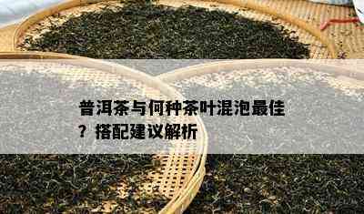 普洱茶与何种茶叶混泡更佳？搭配建议解析