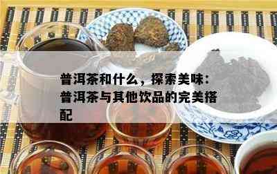 普洱茶和什么，探索美味：普洱茶与其他饮品的完美搭配