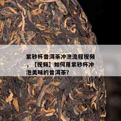 紫砂杯普洱茶冲泡流程视频，【视频】如何用紫砂杯冲泡美味的普洱茶？