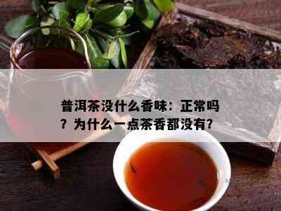 普洱茶没什么香味：正常吗？为什么一点茶香都没有？