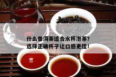 什么普洱茶适合水杯泡茶？选择正确杯子让口感更佳！