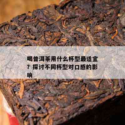 喝普洱茶用什么杯型最适宜？探讨不同杯型对口感的影响