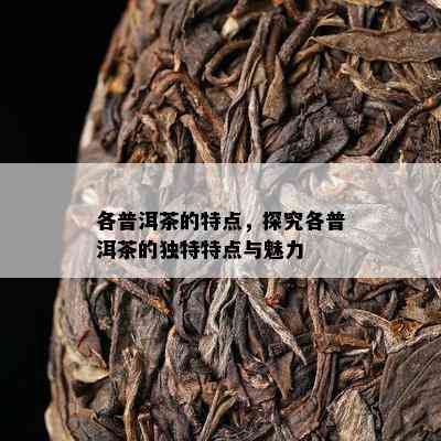 各普洱茶的特点，探究各普洱茶的独特特点与魅力