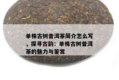 单株古树普洱茶简介怎么写，探寻古韵：单株古树普洱茶的魅力与鉴赏