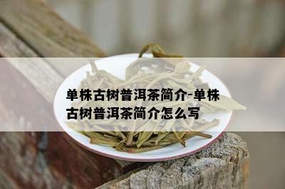 单株古树普洱茶简介-单株古树普洱茶简介怎么写