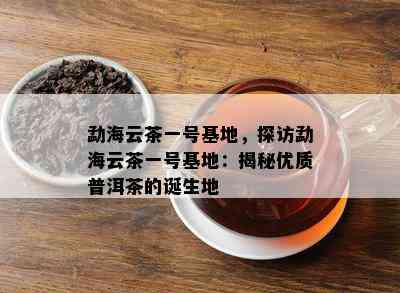 勐海云茶一号基地，探访勐海云茶一号基地：揭秘优质普洱茶的诞生地