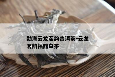 勐海云龙茗韵普洱茶-云龙茗韵福鼎白茶